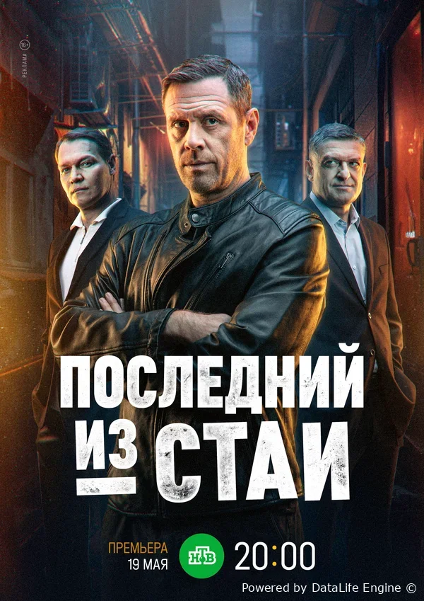 Последний из стаи онлайн